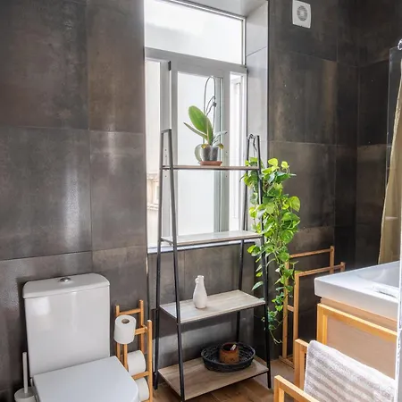 Soar L Graca L Gasthuis